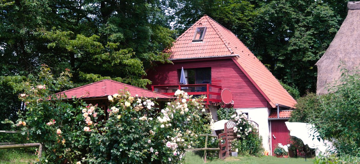 Zeichnung vom Reetdach des Haupthauses